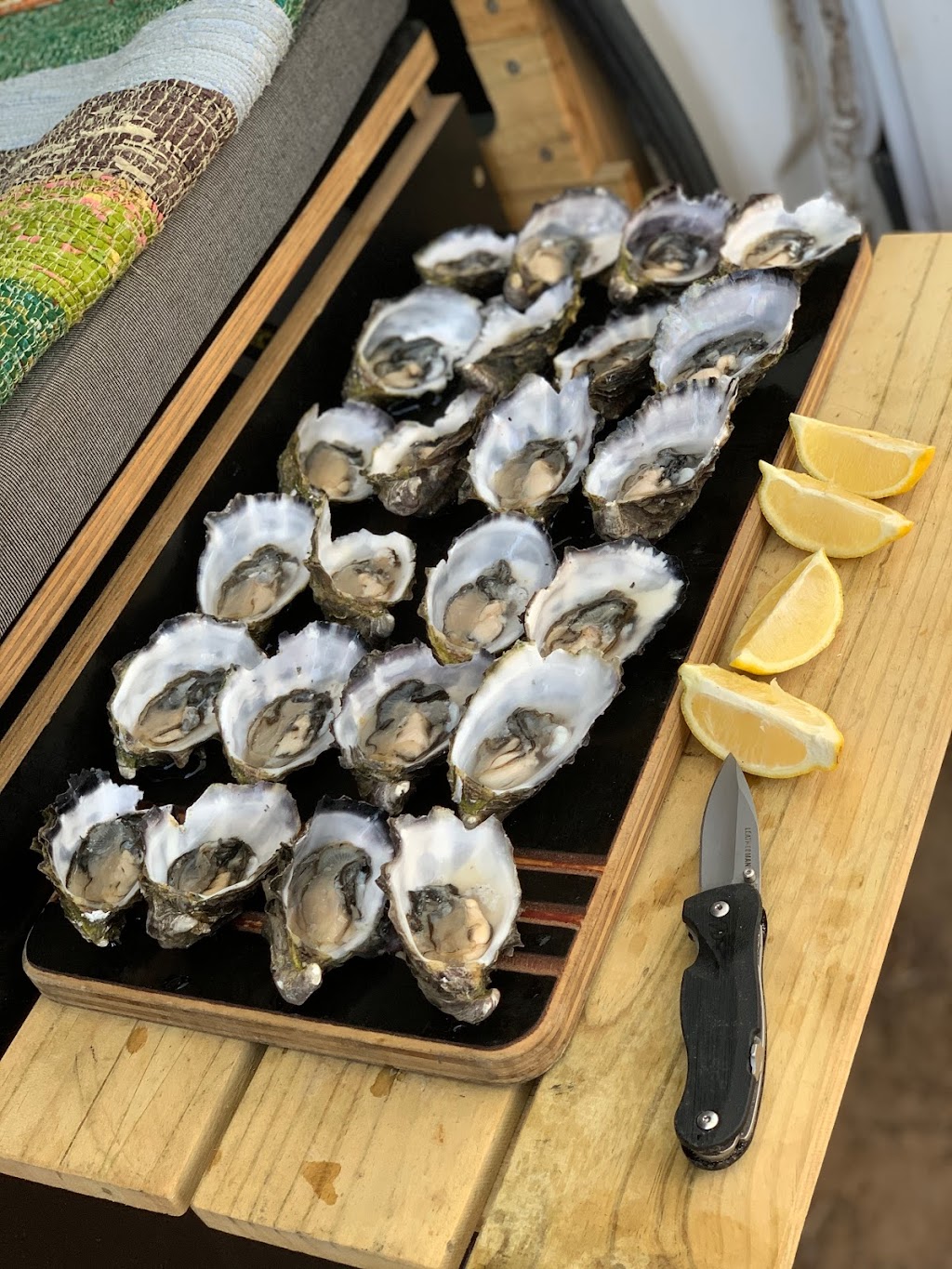Smoky Bay Oysters | point of interest | 9 Anchor Dr, Smoky Bay SA 5680, Australia | 0402459909 OR +61 402 459 909