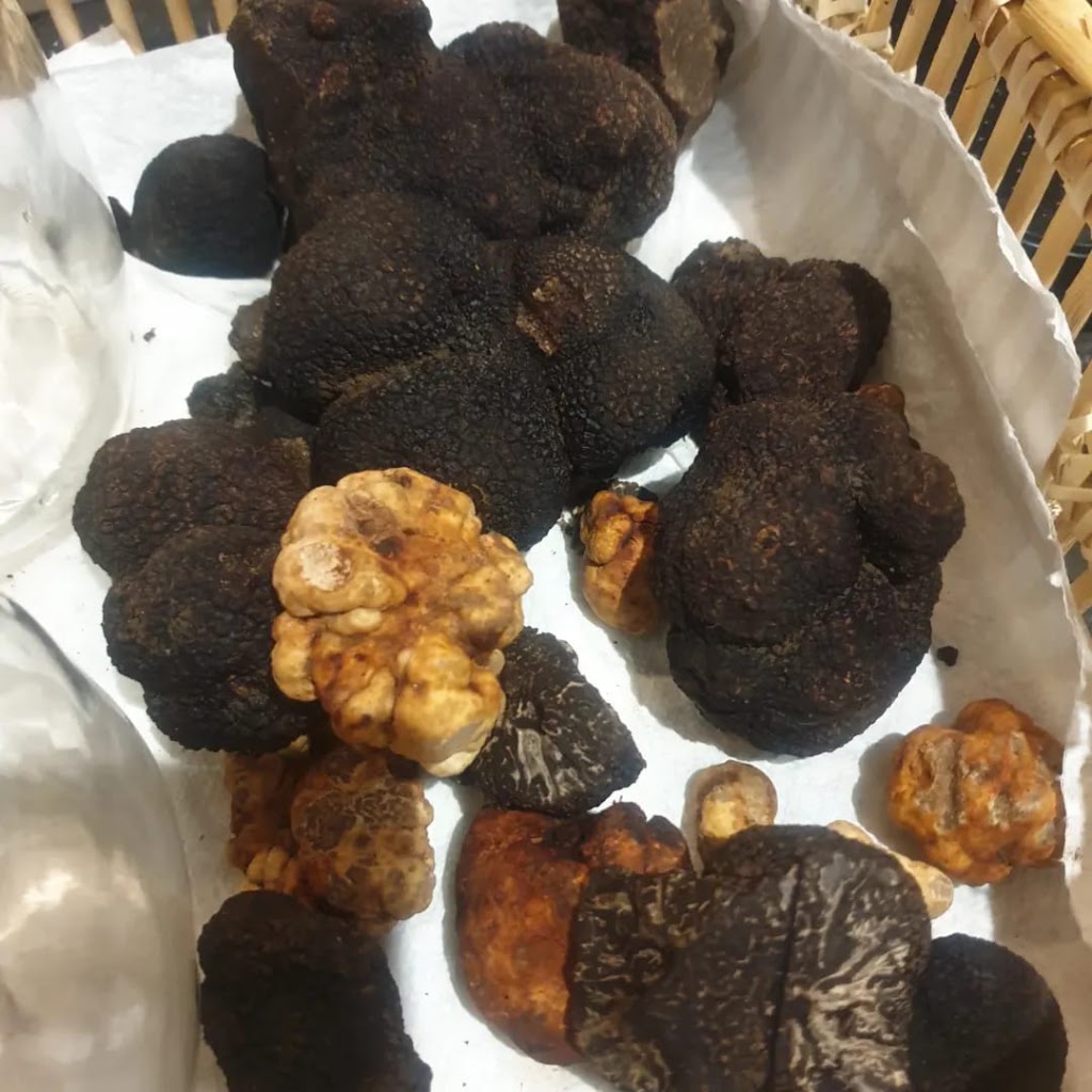 Barossa Truffle Company | Flaxman Valley SA 5235, Australia | Phone: 0422 515 340