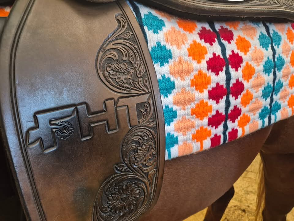 FHT Equine | 26 McNairn Rd, Crows Nest QLD 4355, Australia | Phone: 0402 581 423