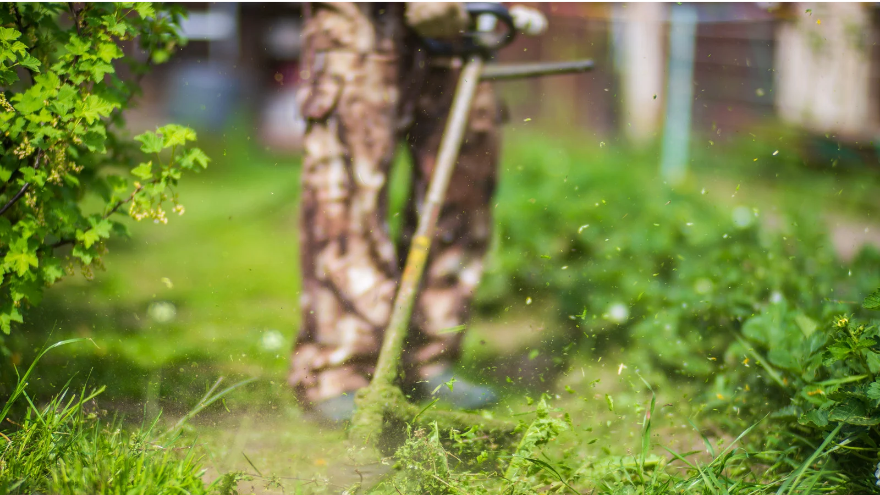Saunders Affordable Lawn Services | 49 Helensvale Rd, Helensvale QLD 4212, Australia | Phone: 0401 257 118