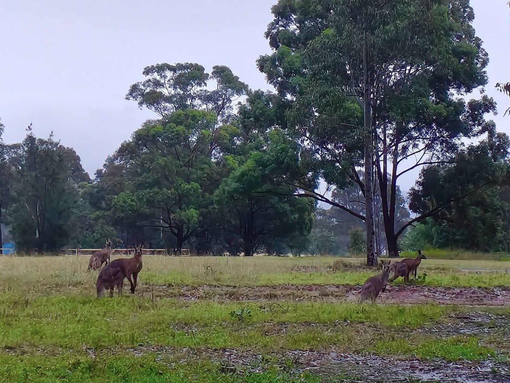 Hunter Holidays | 14 Valley View Pl, Nulkaba NSW 2325, Australia | Phone: 0402 768 103