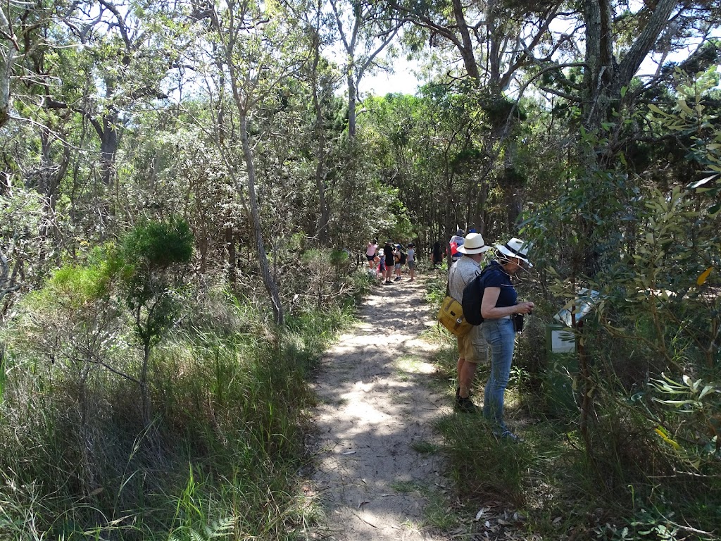 Coochie Guided Island Tours | 1 Elizabeth St, Coochiemudlo Island QLD 4184, Australia | Phone: 0436 445 629