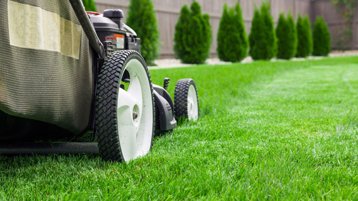 Joms Lawn Mowing | 2 Ash Ch, North Wonthaggi VIC 3995, Australia | Phone: 0478 542 484