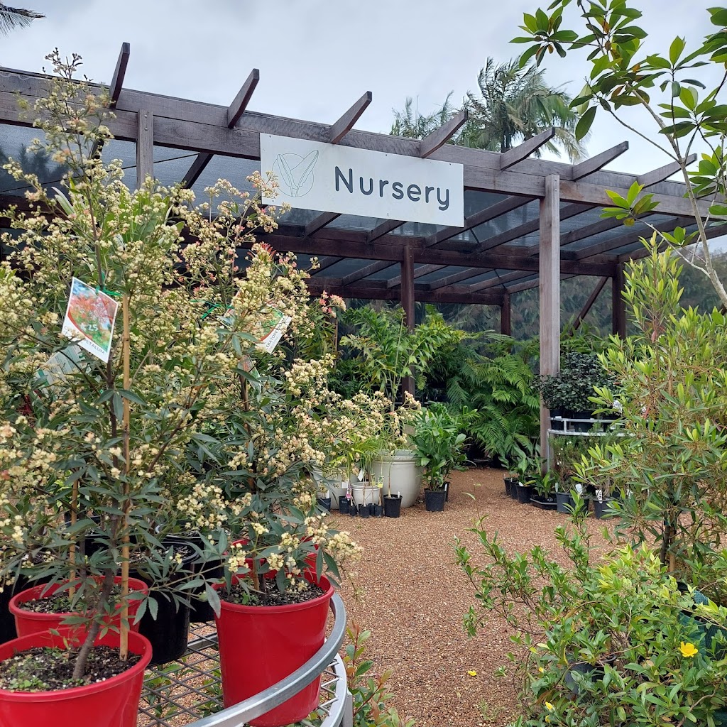 Bonville Nursery | store | 325 Pine Creek Way, Bonville NSW 2450, Australia | 0403292661 OR +61 403 292 661