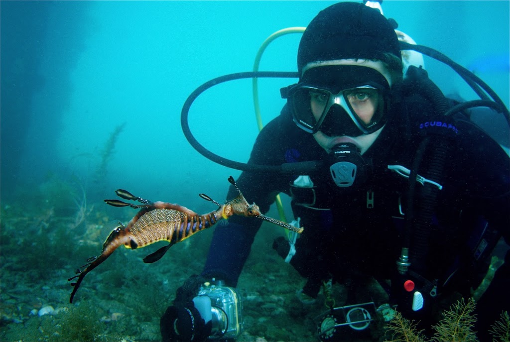 Ocean Divers | store | 223A E Boundary Rd, Bentleigh East VIC 3165, Australia | 0395792600 OR +61 3 9579 2600