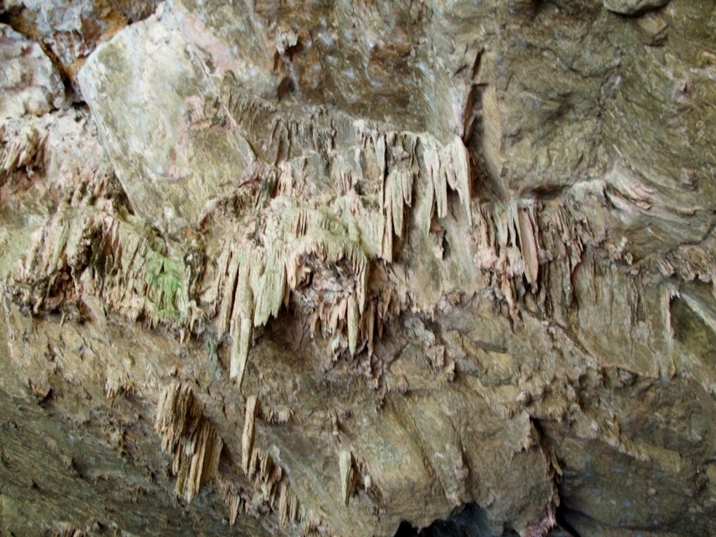 Abercrombie Caves | park | Caves Road, Abercrombie River NSW 2795, Australia | 0263688603 OR +61 2 6368 8603