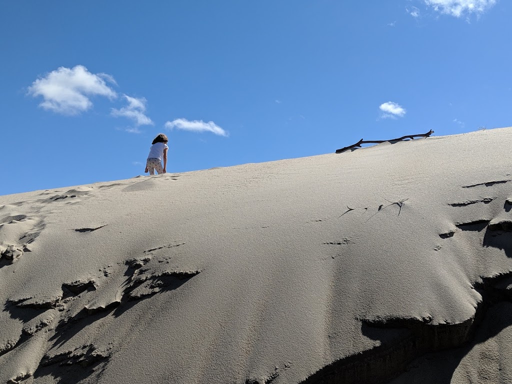 Henty Dunes Picnic Area | Strahan TAS 7468, Australia