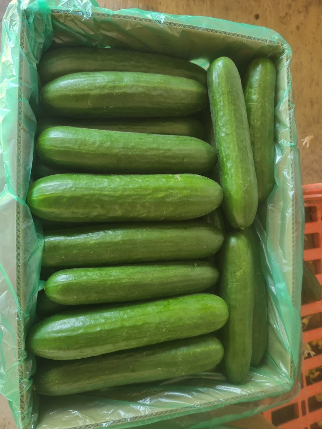 JEM Organics Farm | 108 Patrick Estate Rd, Patrick Estate QLD 4311, Australia | Phone: 0475 244 874