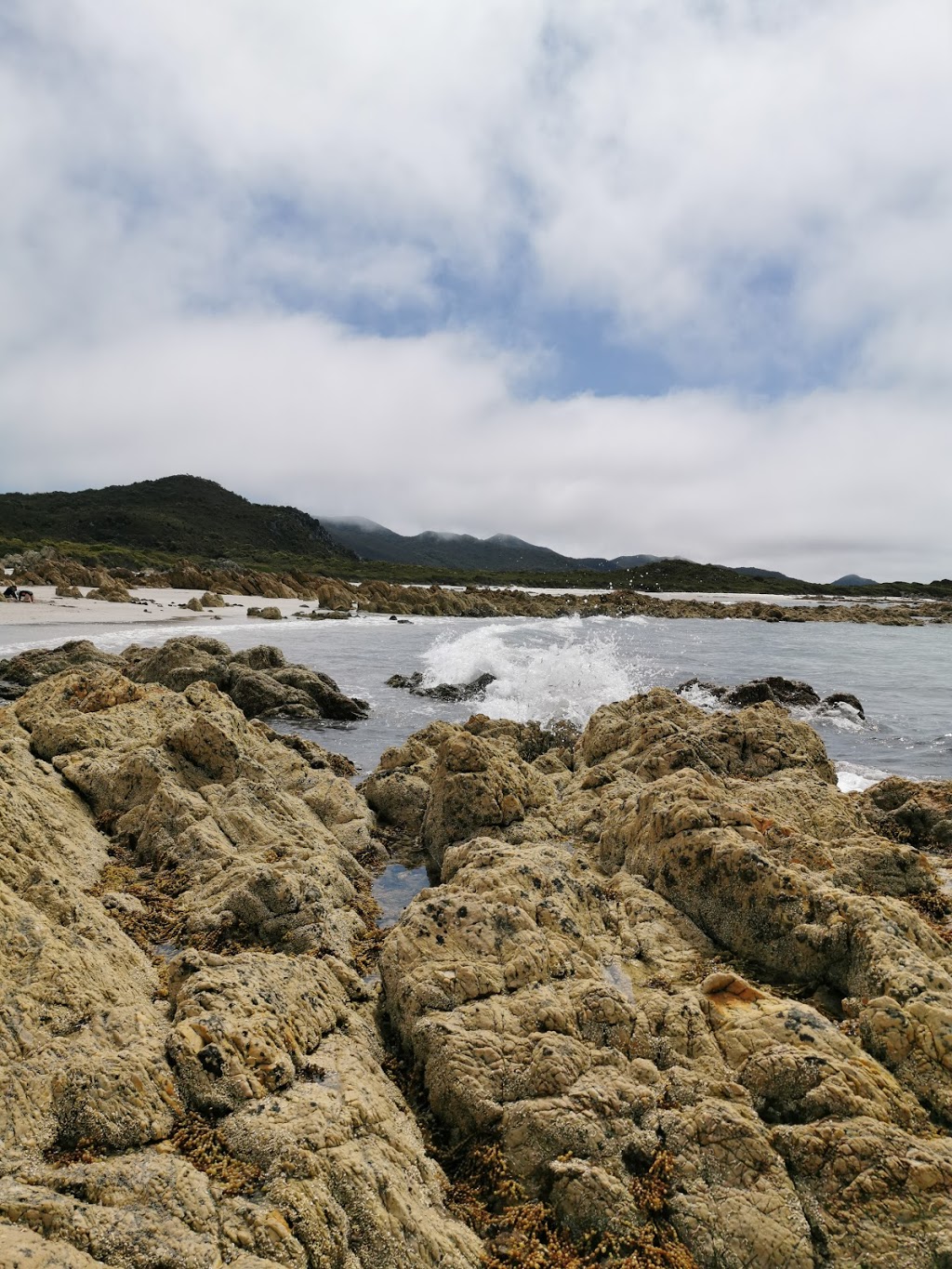 Rocky Cape National Park | park | Rocky Cape TAS 7321, Australia | 0364581480 OR +61 3 6458 1480