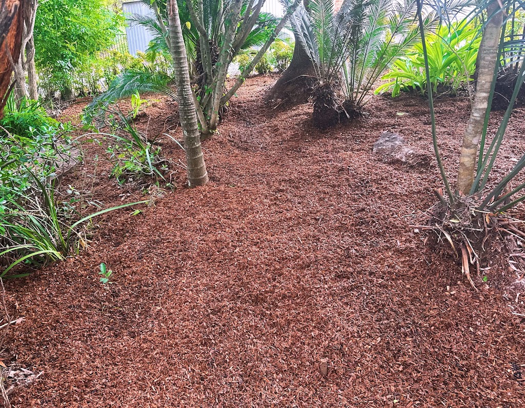 SprucedUP Lawns and Gardens | 252 Lakedge Ave, Berkeley Vale NSW 2261, Australia | Phone: 0402 858 349
