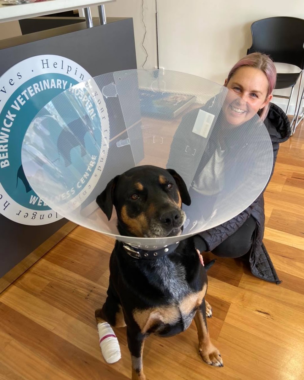 The Berwick Veterinary Hospital Wellness Centre | veterinary care | Shop 17, Eden Rise Village, 1 OShea Road 3806, Berwick VIC 3806, Australia | 0391182020 OR +61 3 9118 2020