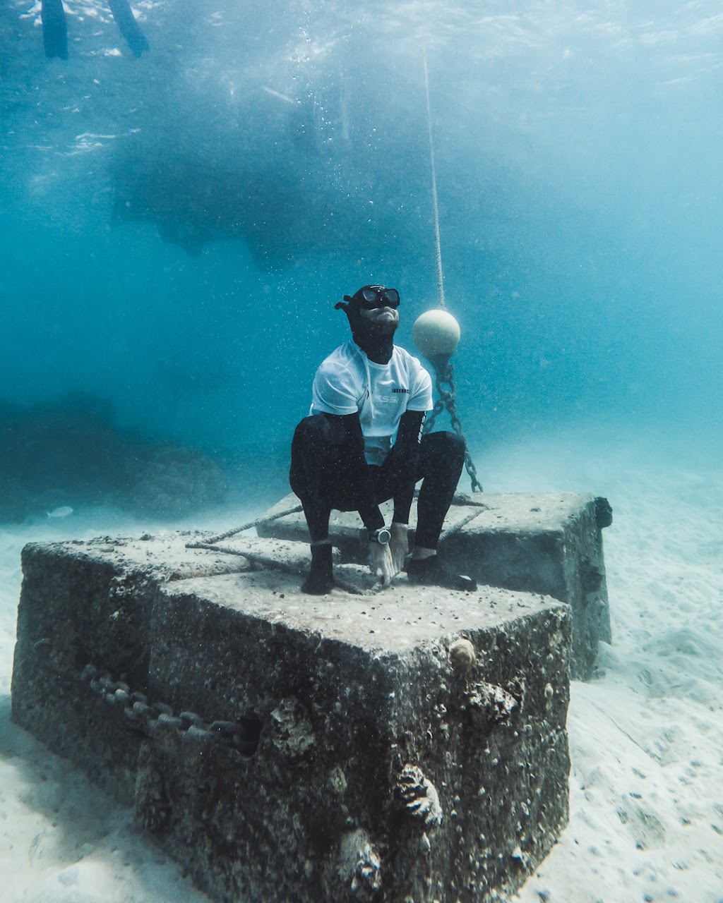 OceanSense Freediving | Runaway Bay Marina, 247 Bayview St, Hollywell QLD 4216, Australia | Phone: 0426 440 491