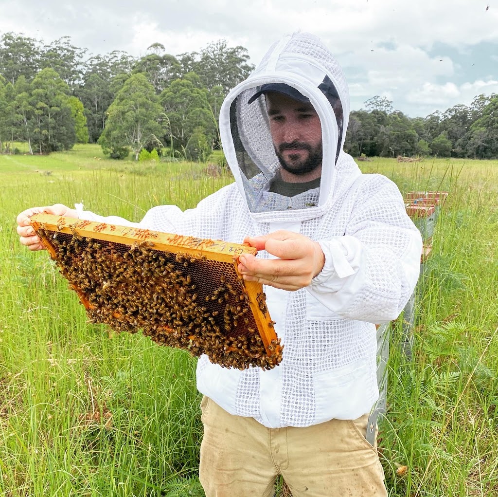 Mt. Coramba Apiculture | food | 235 Morrows Rd, Nana Glen NSW 2450, Australia | 0459066297 OR +61 459 066 297