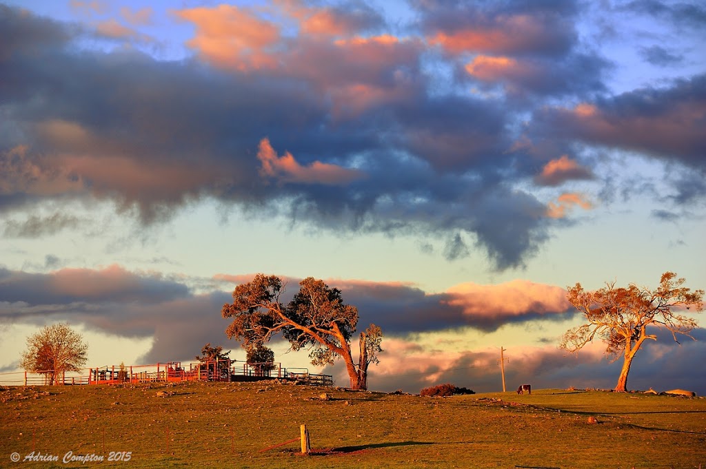 Yuranighs Aboriginal Grave Historic Site | park | Molong NSW 2866, Australia