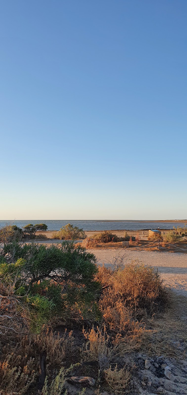Gladstone Bay Campground | N W Coastal Hwy Turn off opposite Yaringa Station, Wooramel WA 6530, Australia | Phone: (08) 9942 5952