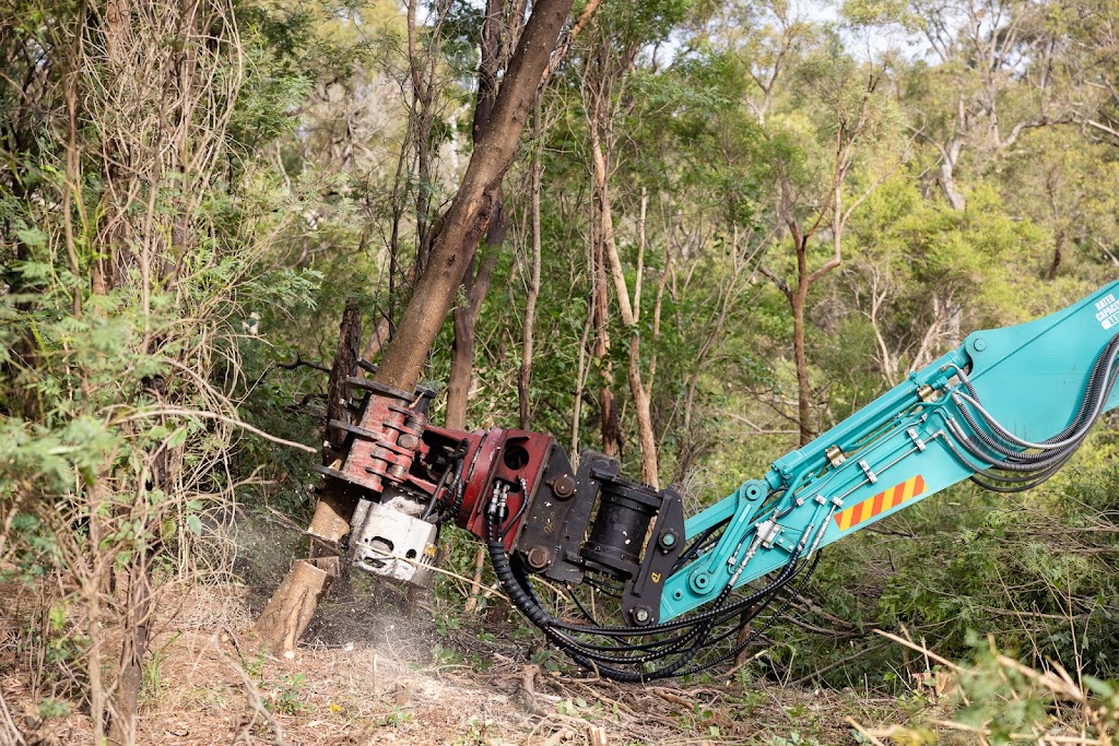 TreeLink Southern Highlands | 5 Railway Parade, Bowral NSW 2576, Australia | Phone: 0425 064 502