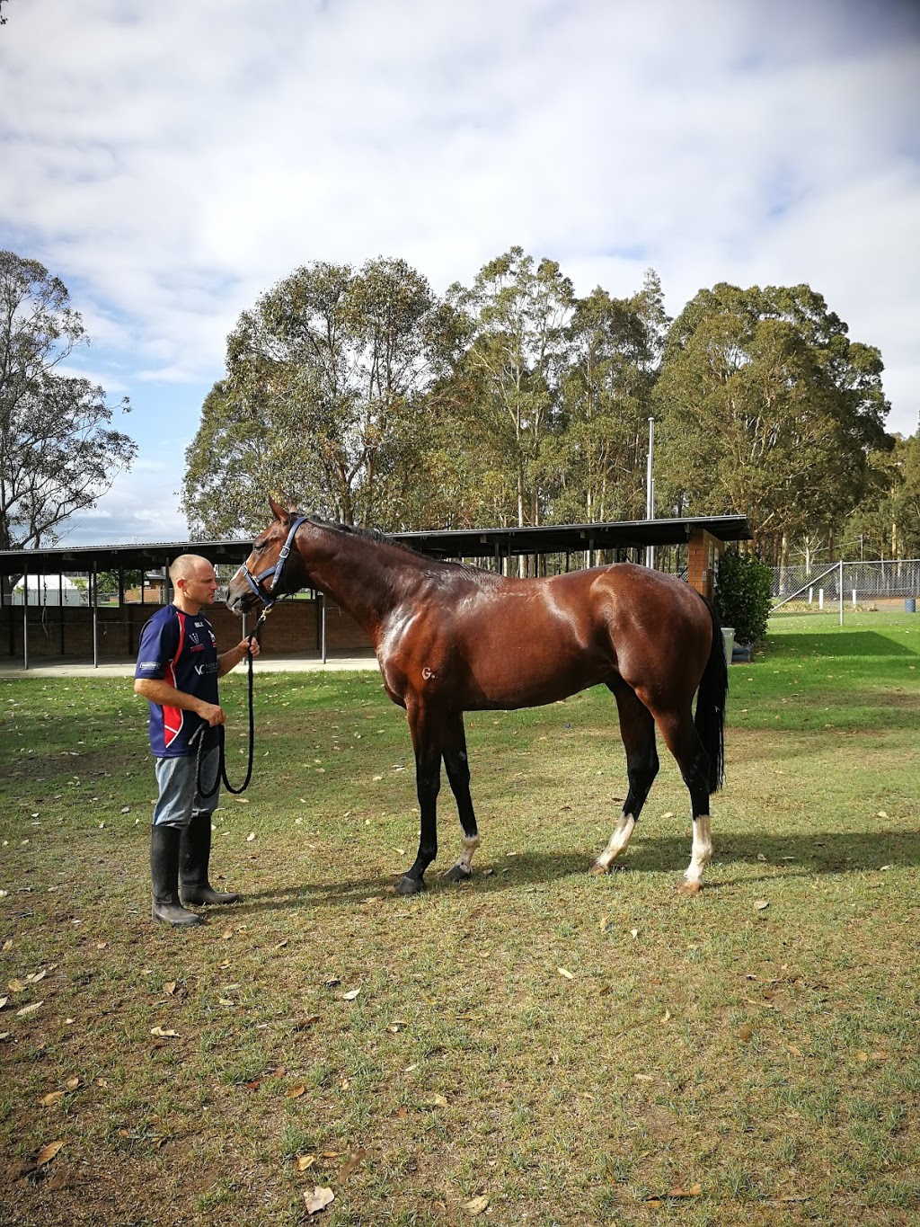 Shoalhaven City Turf Club | 96 Albatross Rd, South Nowra NSW 2541, Australia | Phone: (02) 4421 4550