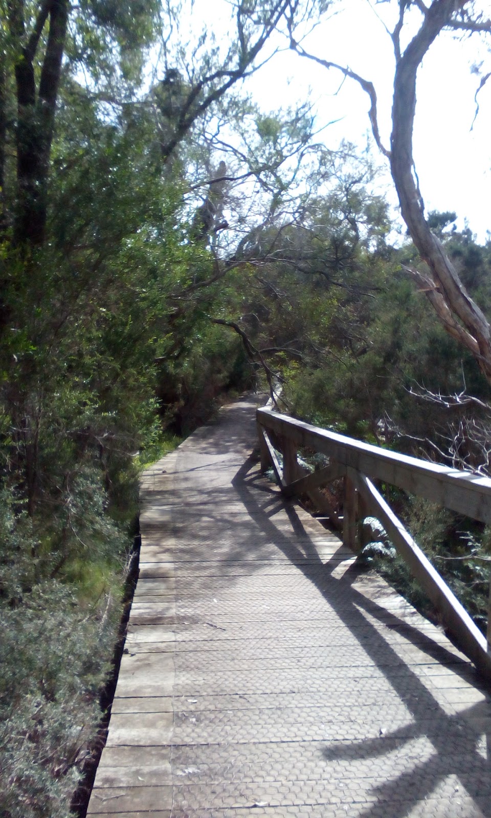 Jacks Beach Reserve | Bittern VIC 3918, Australia | Phone: 1300 850 600