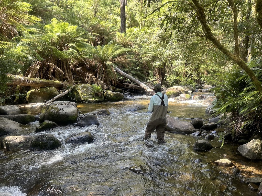 Wilderness Fly Fishing | 23 McLennan Ave, Maddingley VIC 3340, Australia | Phone: 0421 556 916