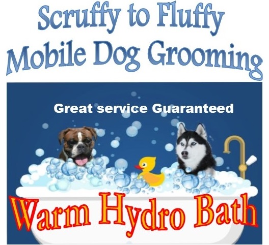 Scruffy to Fluffy Mobile Dog Grooming |  | 45A Mopoke Cl, Longreach NSW 2540, Australia | 0438513418 OR +61 438 513 418