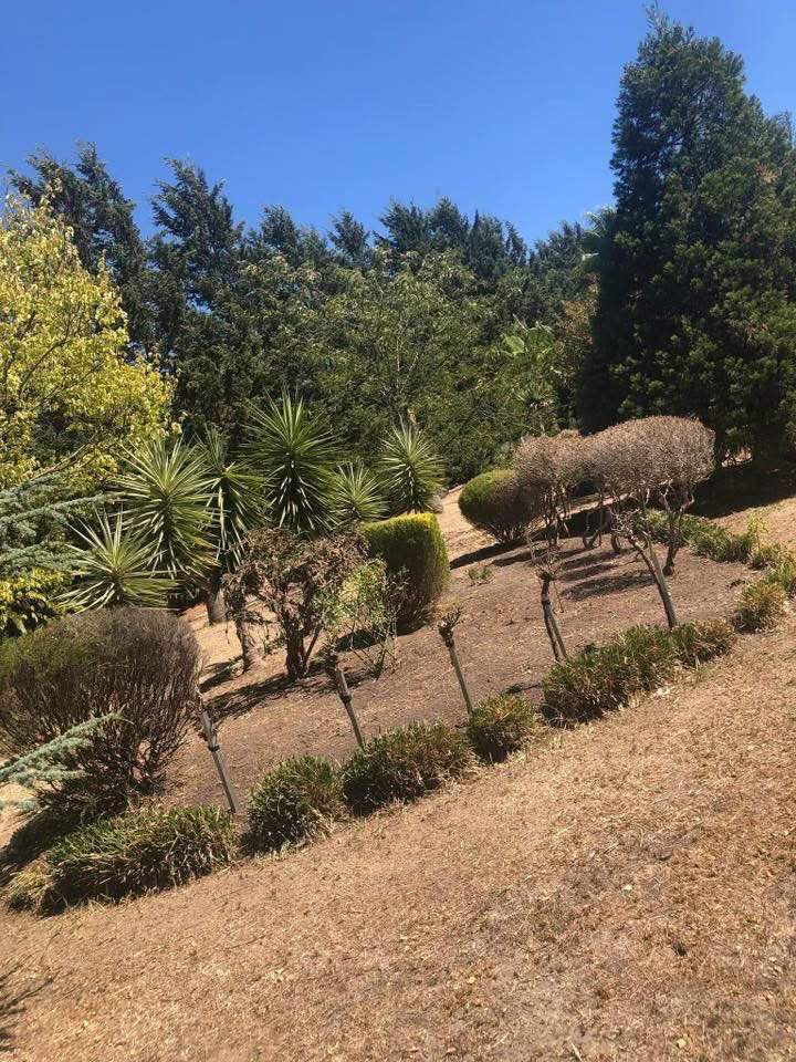 Jnn lawns | Kangaroo Ground-st Andrews Rd, Panton Hill VIC 3759, Australia | Phone: 0434 134 990