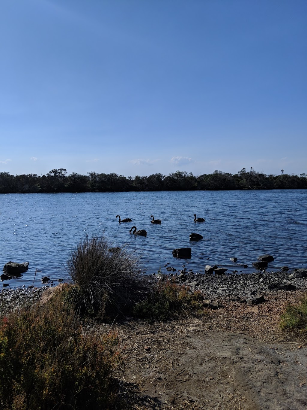 Mitchell River Silt Jetties Gippsland Lakes Reserve | Victoria, Australia