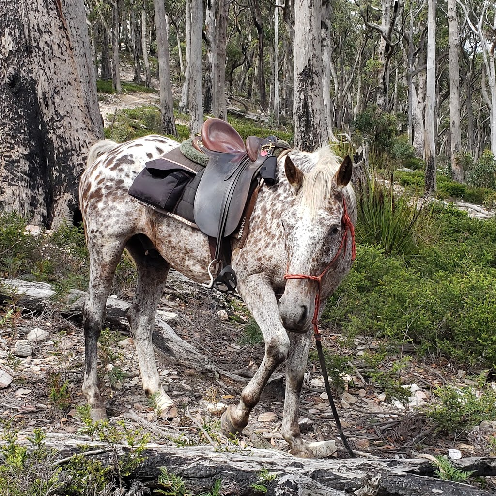 Cradle Country Adventures | 878 Bridle Track Rd, Kimberley TAS 7304, Australia | Phone: 1300 656 069