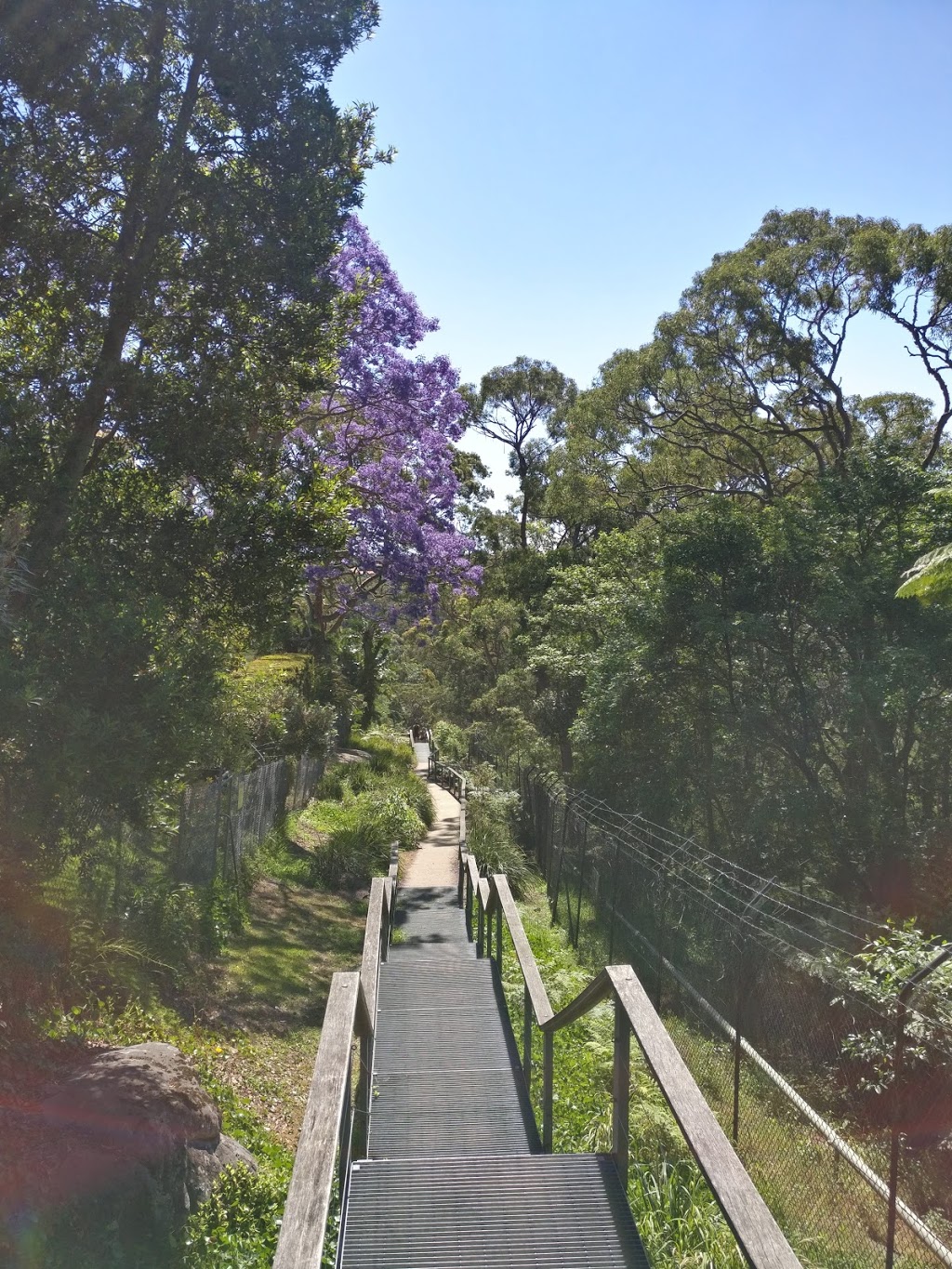 Balmoral Park | park | The Esplanade, Mosman NSW 2088, Australia | 0299784000 OR +61 2 9978 4000