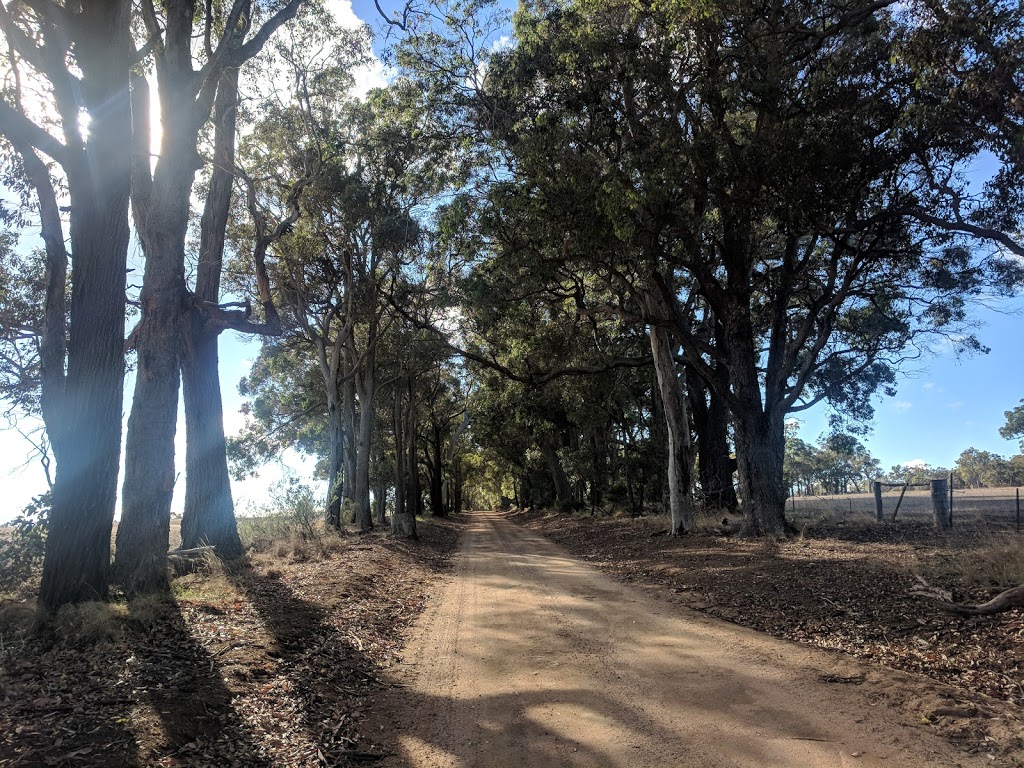 Where the Gum Trees Are | 303 Ward Rd, Mount Barker WA 6324, Australia