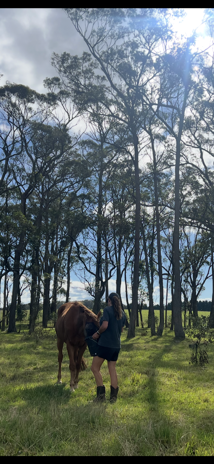 Fellowdale Farm | 62 Hayman Rd, Bundanoon NSW 2578, Australia | Phone: 0412 253 846