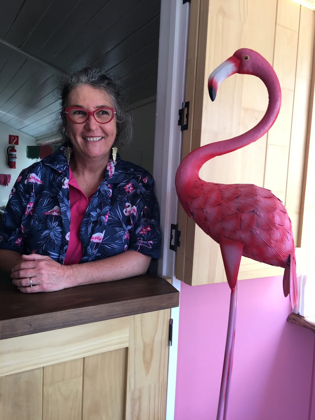 Pink Flamingo Yarraman | 19 Toomey St, Yarraman QLD 4614, Australia | Phone: 0408 988 100
