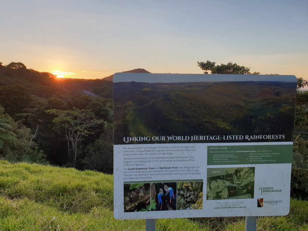 Millaa Millaa Lookout | tourist attraction | E Evelyn Rd, Millaa Millaa QLD 4886, Australia | 1300366361 OR +61 1300 366 361