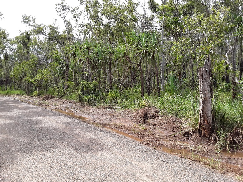 Cedar Creek Falls | park | Cedar Creek QLD 4800, Australia | 0749453967 OR +61 7 4945 3967