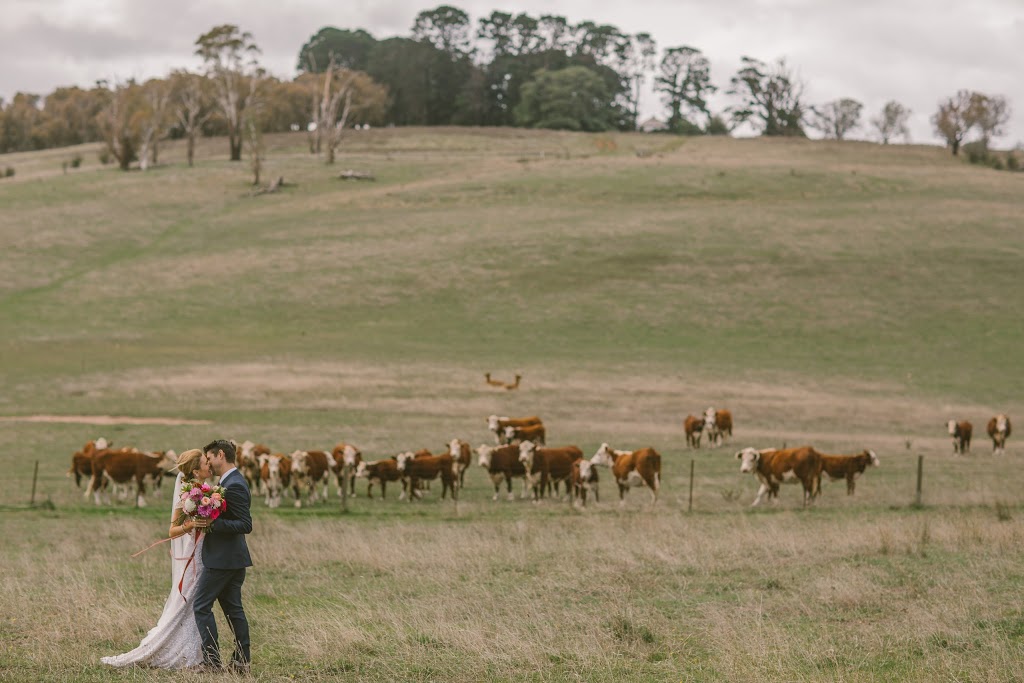 The Barn at Leeston | 924 Woodhouselee Rd, Roslyn NSW 2580, Australia | Phone: 0437 949 510