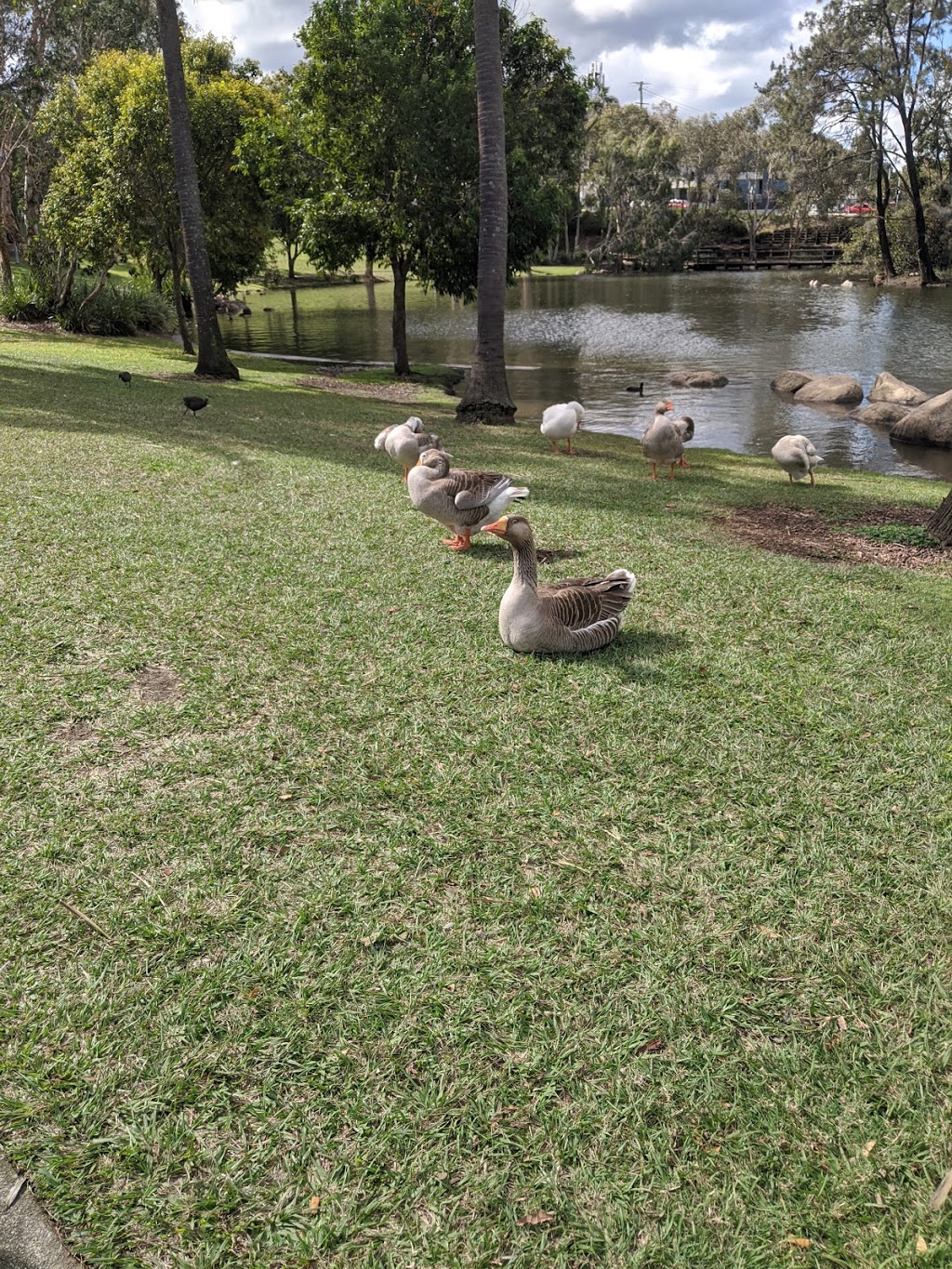 Centenary Lakes Park | Fitscool, Caboolture QLD 4510, Australia