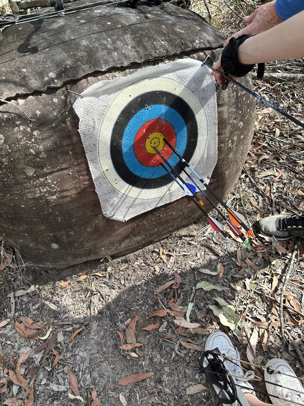 Mountain View Archers Wingham | 1274 Gloucester Rd, Wingham NSW 2429, Australia | Phone: 0418 271 042