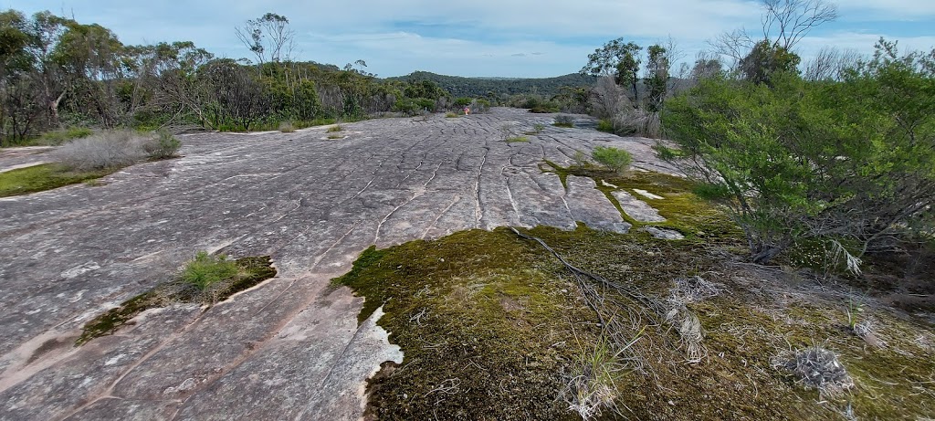 Aboriginal Site Conservation | museum | Ku-Ring-Gai Chase NSW 2084, Australia