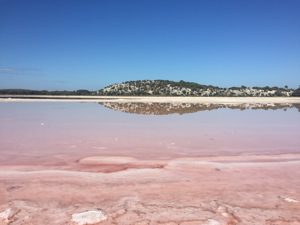 Pink Lake | park | Australia, Western Australia, Rottnest Island, pink lake、邮政编码: 6161