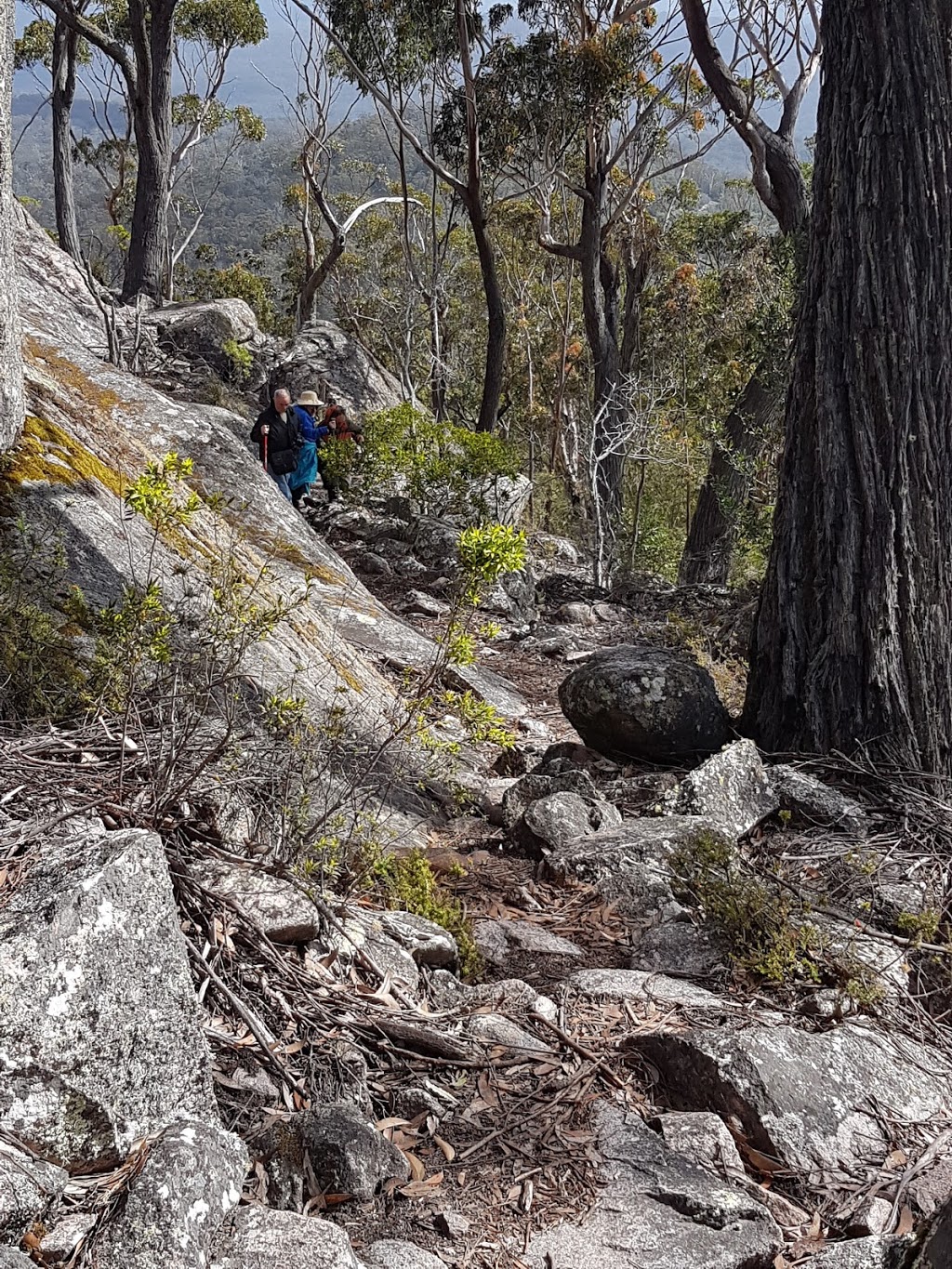 Genoa Peak | Genoa VIC 3891, Australia | Phone: 13 19 63