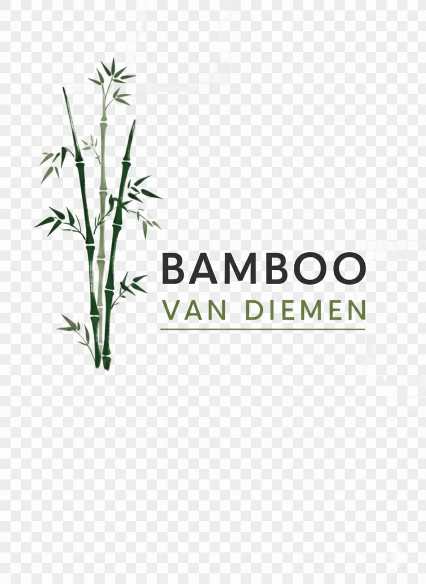 Bamboo Van Diemen | 179 Nabowla Rd, Nabowla TAS 7260, Australia | Phone: 0410 101 576