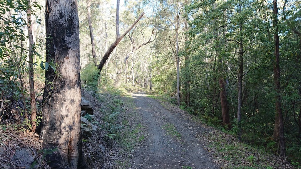 Richard Webb Reserve | park | West Pennant Hills NSW 2125, Australia | 0298430555 OR +61 2 9843 0555