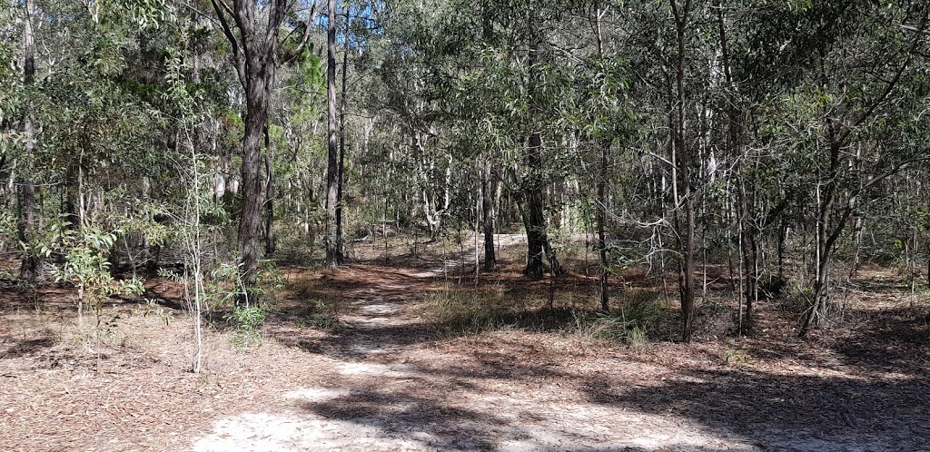 ELF FOREST WALK | park | 9 Saltwater Dr, Rothwell QLD 4022, Australia