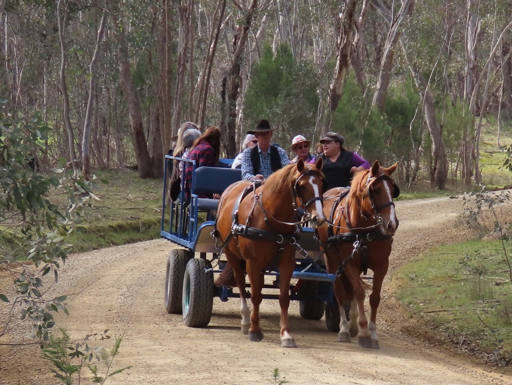 Horsemans Playground |  | D2 Access Rd, Chiltern VIC 3683, Australia | 0466272798 OR +61 466 272 798