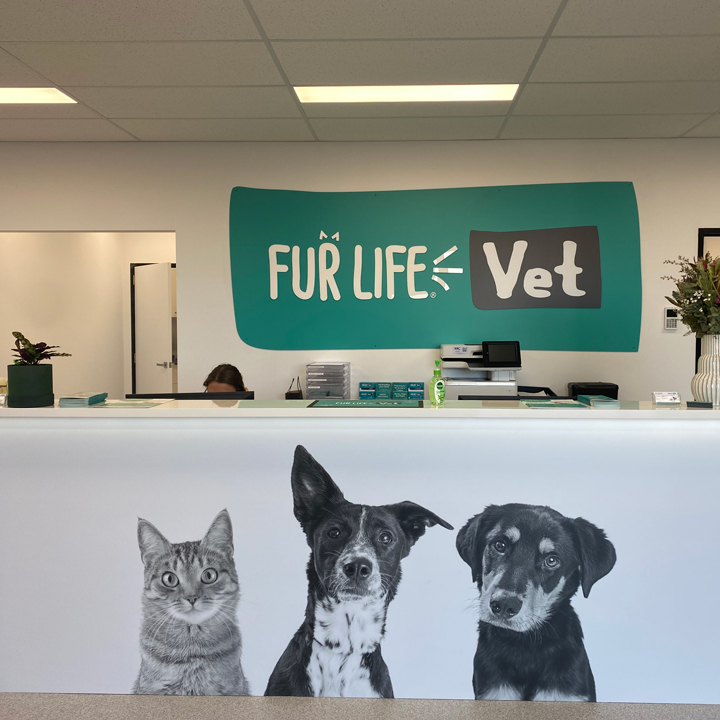 Fur Life Vet Yarrawonga | 2/1 Enterprise Wy, Yarrawonga VIC 3730, Australia | Phone: (03) 5852 0077
