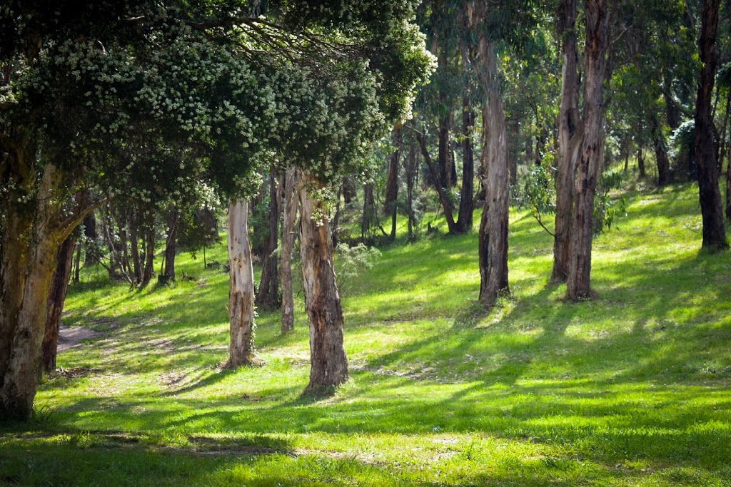 Kokoda Memorial Walk | Tree Fern Gully Track, Tremont VIC 3785, Australia