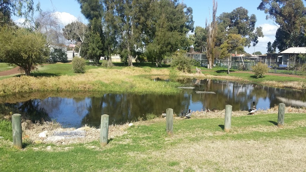 Harris Road Pond | 40 Harris Rd, Busselton WA 6280, Australia