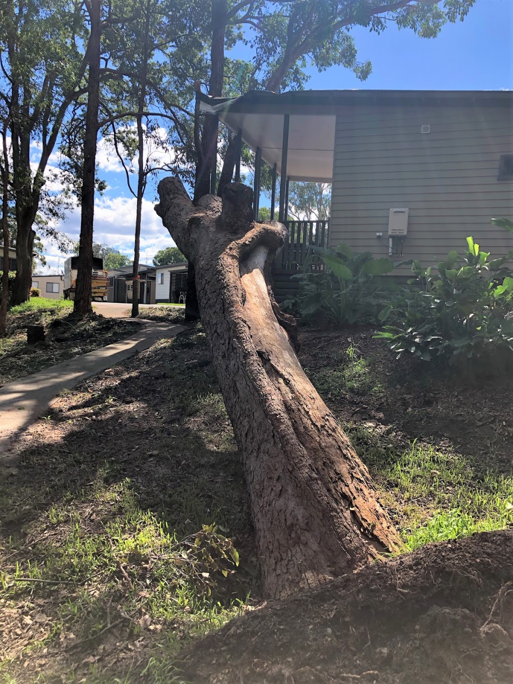 Jeff Pearce Tree Services |  | 24 Caleyi Cres, Tuncurry NSW 2428, Australia | 0415312104 OR +61 415 312 104