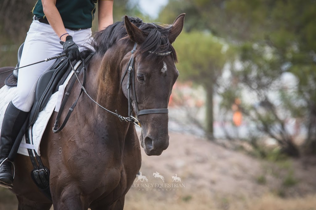 Journey Equestrian Photography | Glenmore Rd, Rowsley VIC 3340, Australia | Phone: 0409 380 964