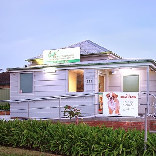 Edgeworth Animal Medical Centre | veterinary care | 735 Main Rd, Edgeworth NSW 2285, Australia | 0249581800 OR +61 2 4958 1800