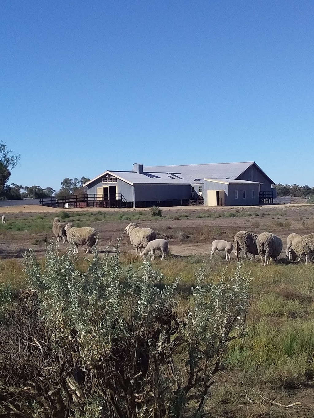 Shear Outback | tourist attraction | Hay South NSW 2711, Australia | 0269934000 OR +61 2 6993 4000